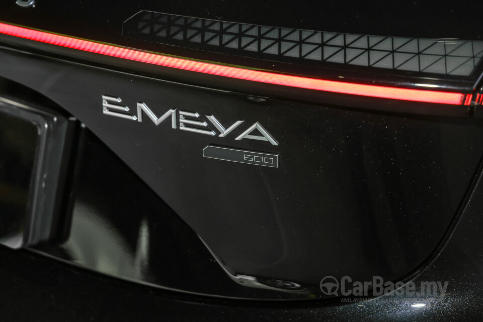 Lotus Emeya Type 133 (2024) Exterior