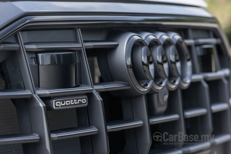 Audi Q8 Mk1 (2019) Exterior