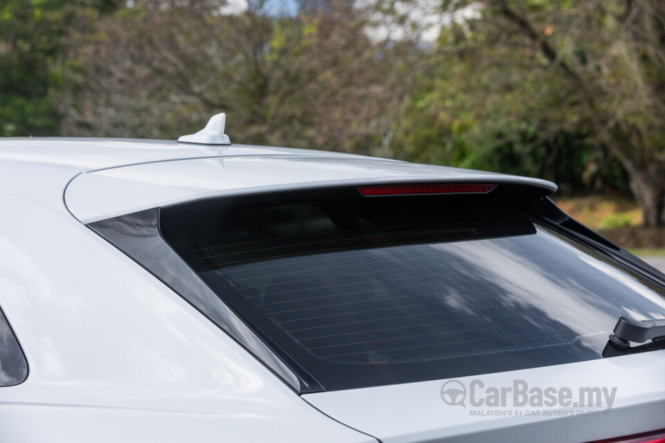 Audi Q8 Mk1 (2019) Exterior