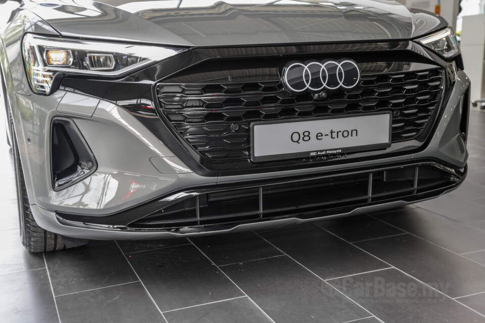 Audi Q8 e-tron Mk1 (2023) Exterior