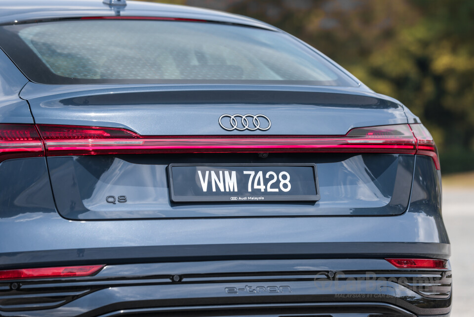 Audi Q8 e-tron Mk1 (2023) Exterior