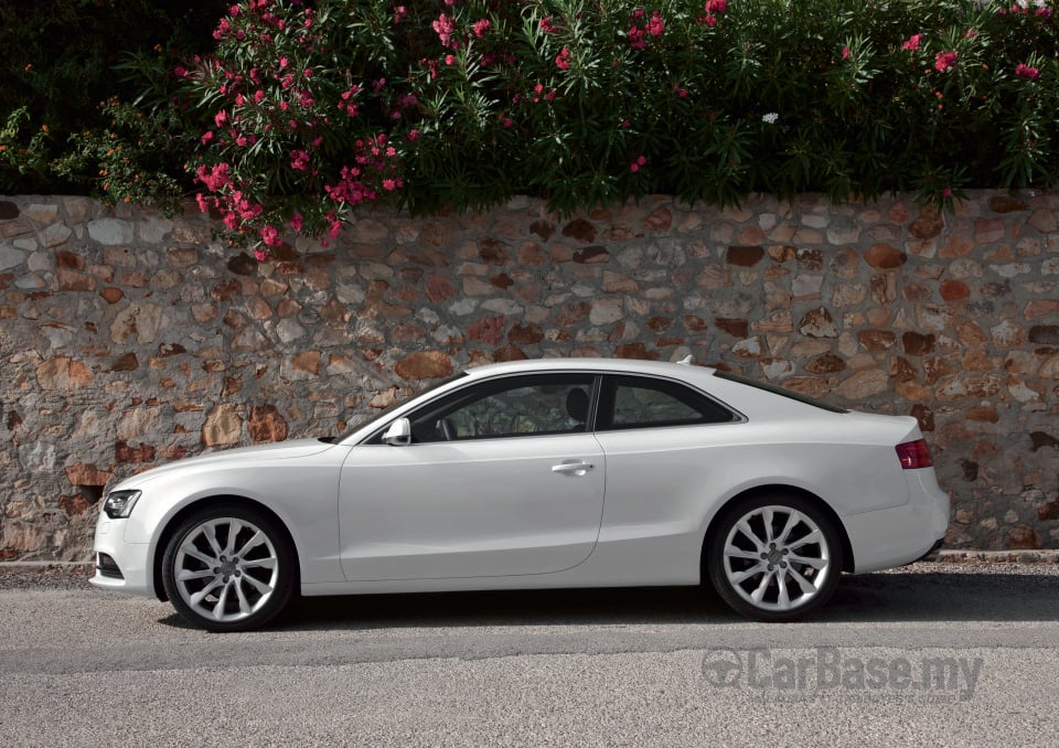Audi A5 Coupe 8T3 (2011) Exterior