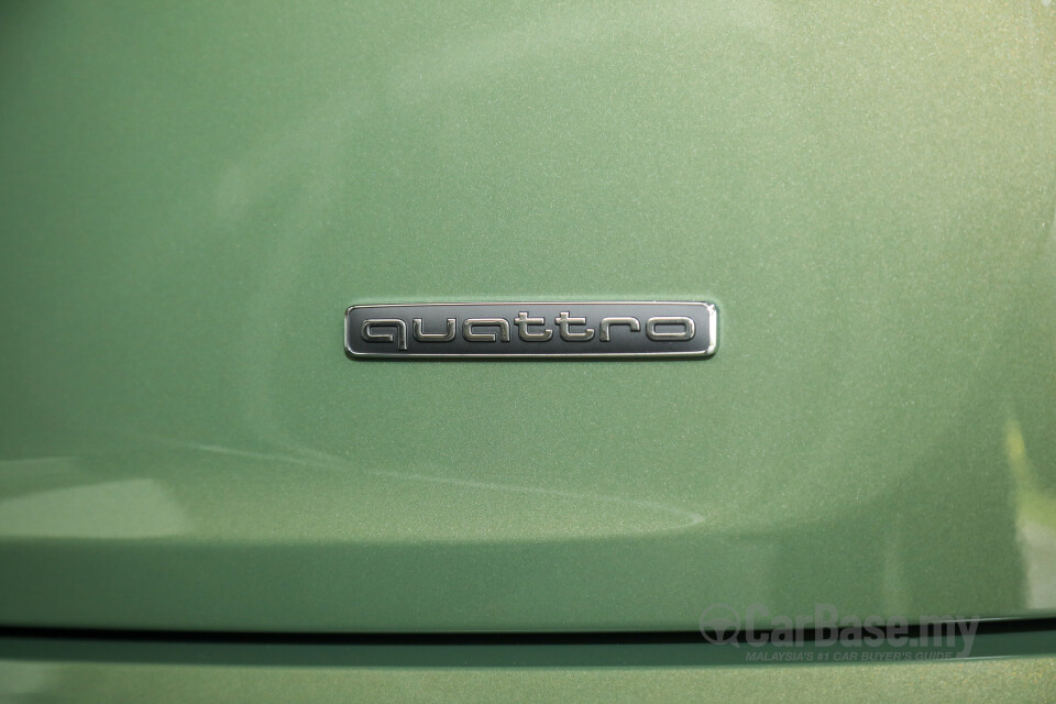 Audi Q5 FY Facelift (2021) Exterior