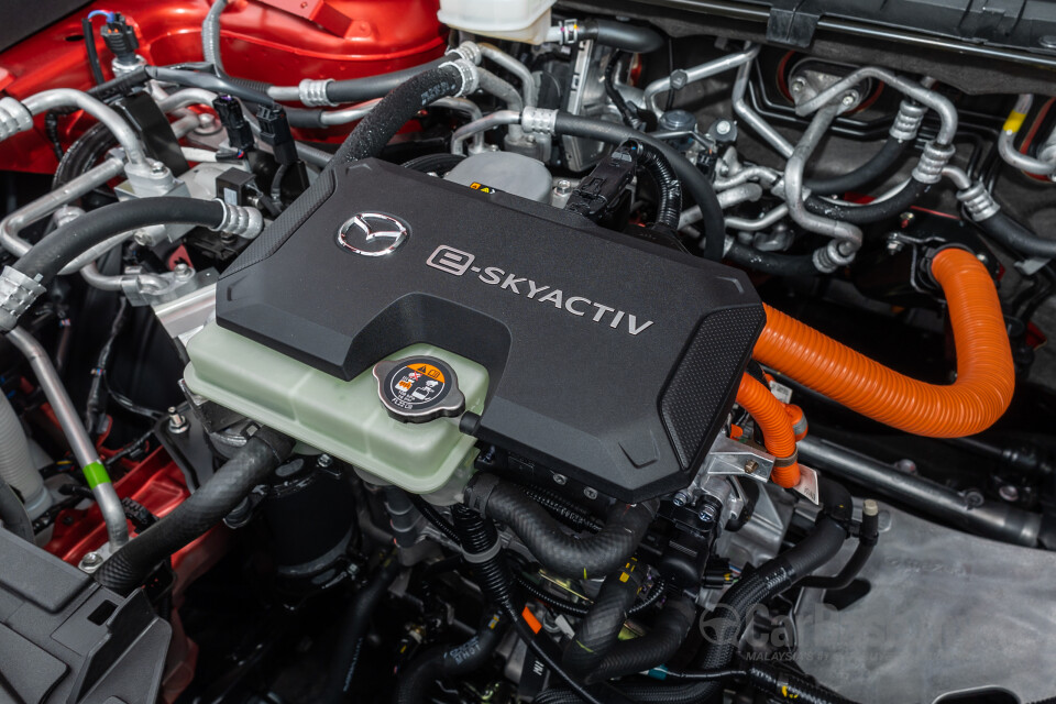 Mazda MX-30 DR (2022) Exterior