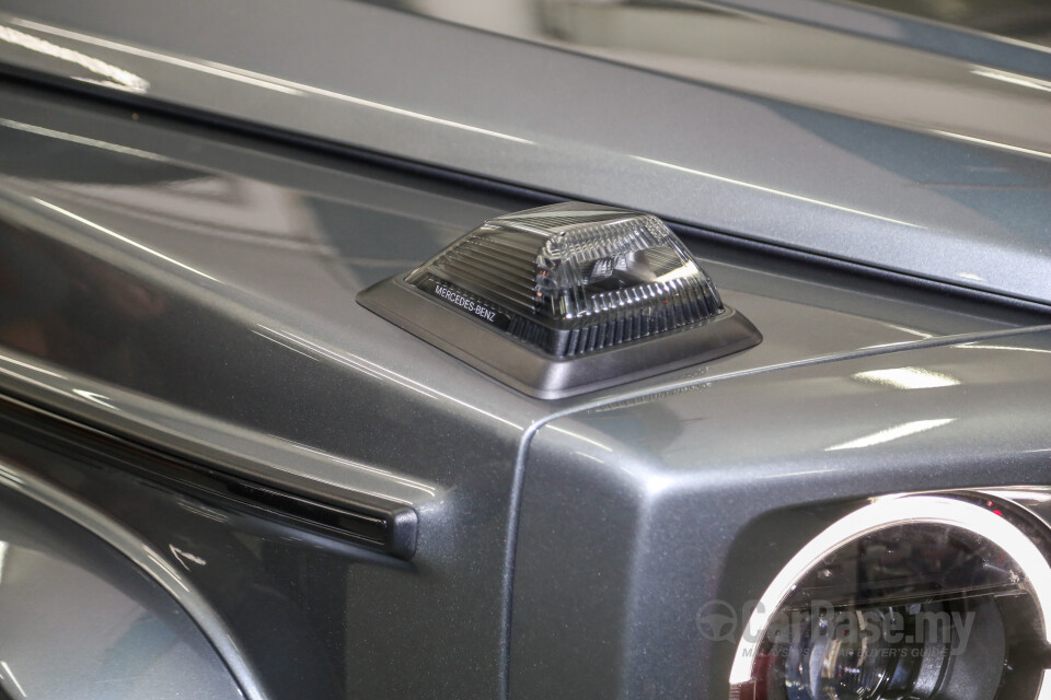 Mercedes-Benz AMG G-Class W463 2018 (2018) Exterior