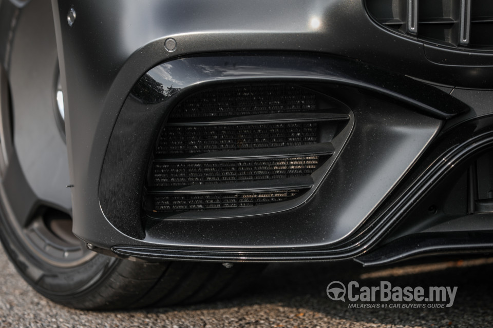 Mercedes-Benz AMG GT 4-Door X290 (2019) Exterior