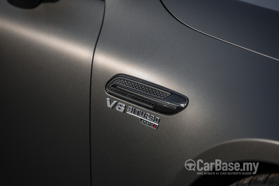 Mercedes-Benz AMG GT 4-Door X290 (2019) Exterior