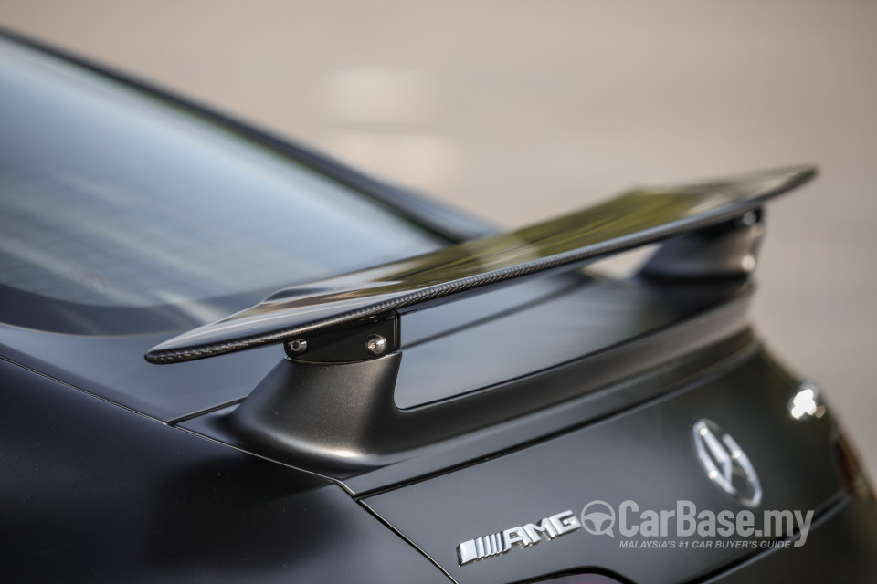Mercedes-Benz AMG GT 4-Door X290 (2019) Exterior