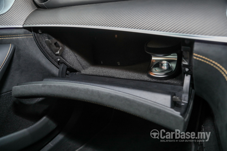 Mercedes-Benz AMG GT 4-Door X290 (2019) Interior