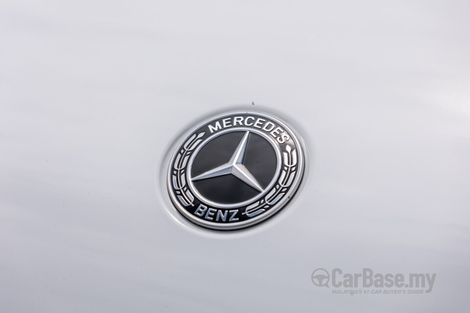 Mercedes-Benz EQE SUV X294 (2023) Exterior