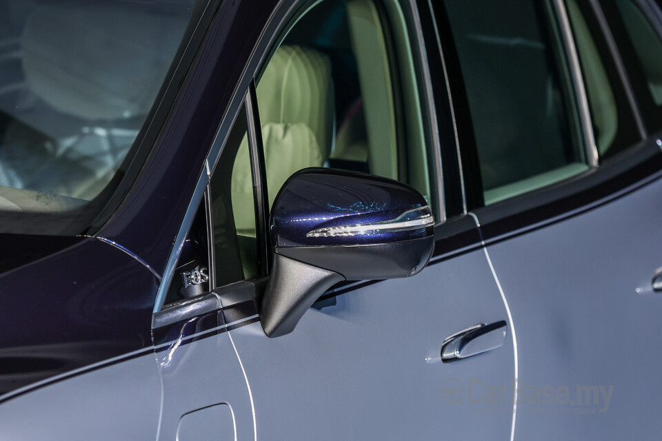 Mercedes-Benz Maybach EQS SUV X296 (2025) Exterior