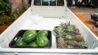 Mitsubishi Triton Exterior photo
