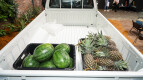 Mitsubishi Triton Exterior photo