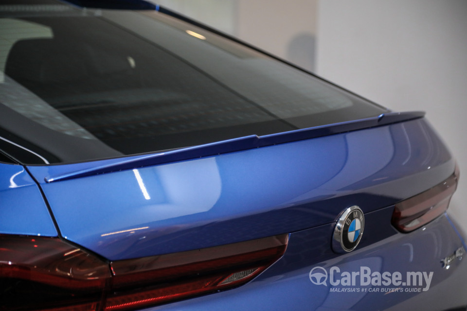 BMW X6 G06 (2020) Exterior