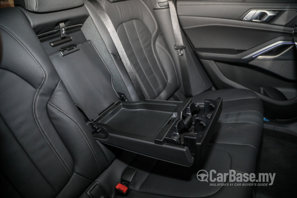 BMW X6 G06 (2020) Interior