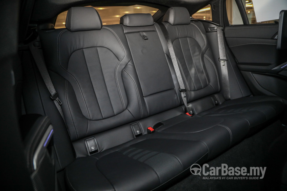 BMW X6 G06 (2020) Interior