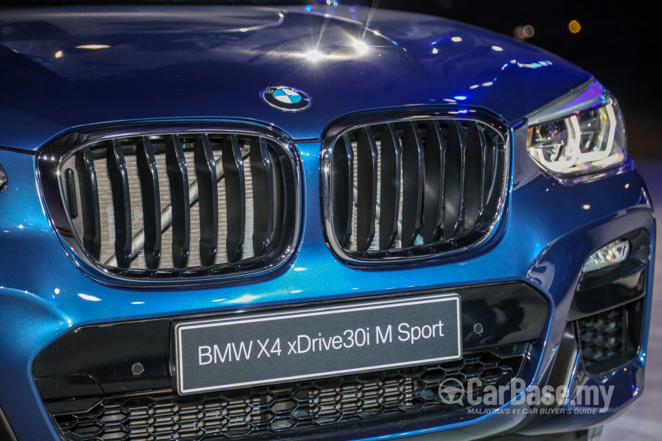 BMW X4 G02 (2019) Exterior
