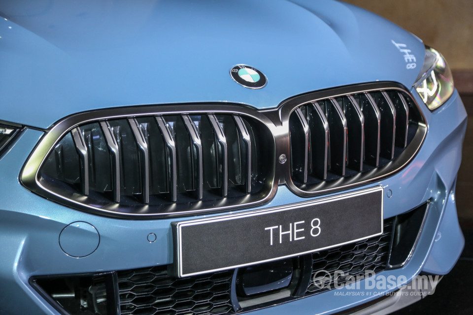 BMW 8 Series M Coupe G15 (2019) Exterior