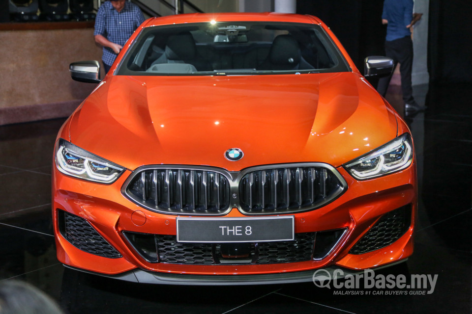 BMW 8 Series M Coupe G15 (2019) Exterior