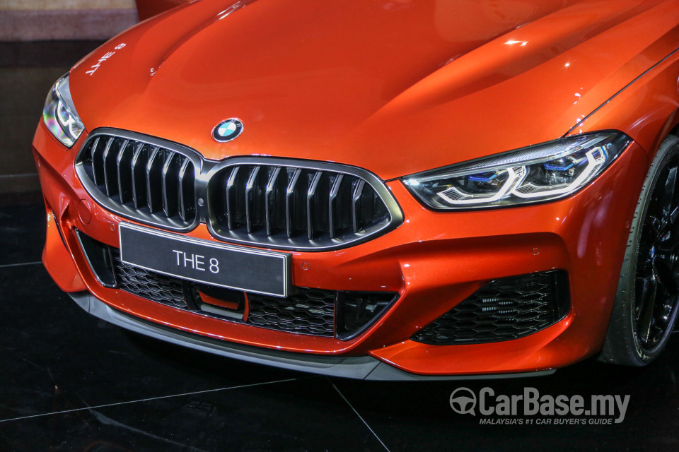 BMW 8 Series M Coupe G15 (2019) Exterior