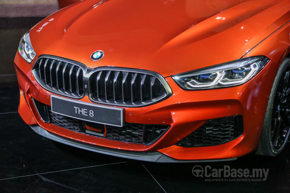 BMW 8 Series M Coupe G15 (2019) Exterior