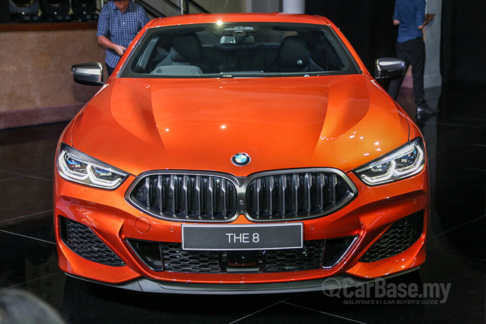 BMW 8 Series M Coupe G15 (2019) Exterior