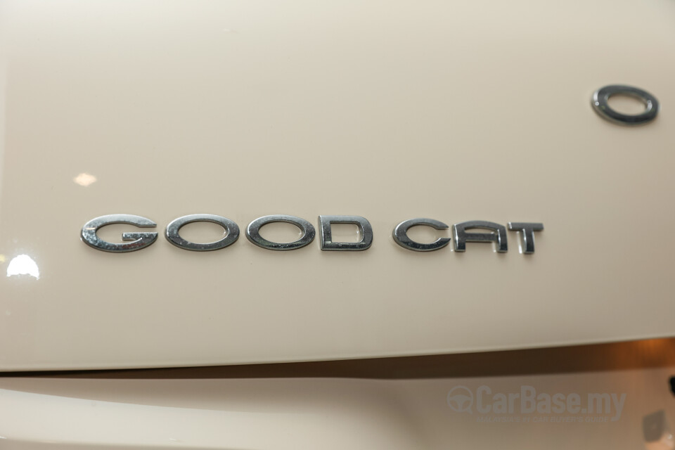 GWM Ora Good Cat Gen 1 (2022) Exterior