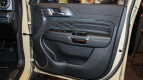 GWM Tank 300 Interior photo