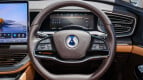 Denza D9 Interior photo