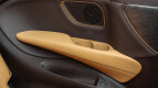 Denza D9 Interior photo
